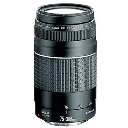 Canon EF 75-300mm f/4-5.6 III Telephoto Zoom Lens